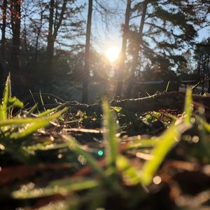 Meet your Posher, Lillian